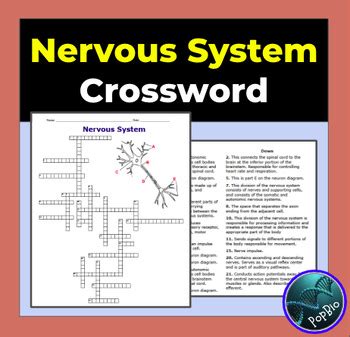 weirdly crossword clue|nervous state crossword clue.